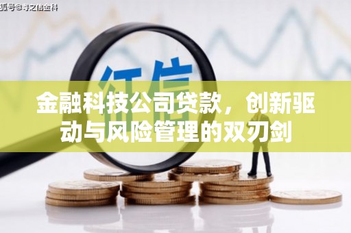 顺庆金融科技公司贷款，创新驱动与风险管理的双刃剑